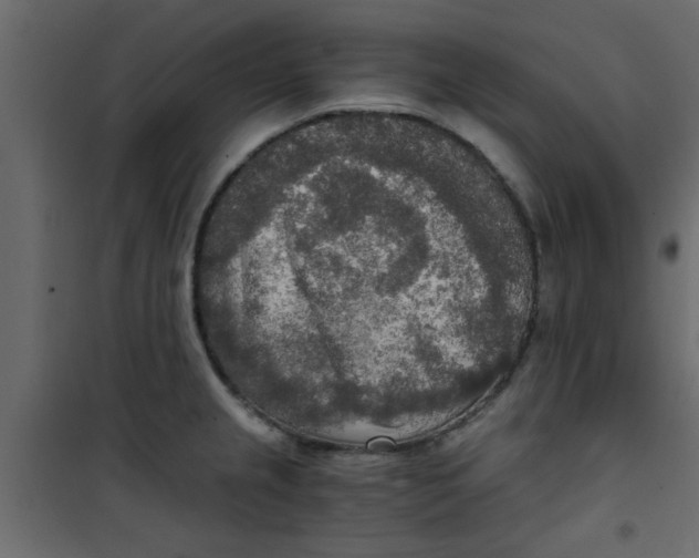 X0000101121237200807171952