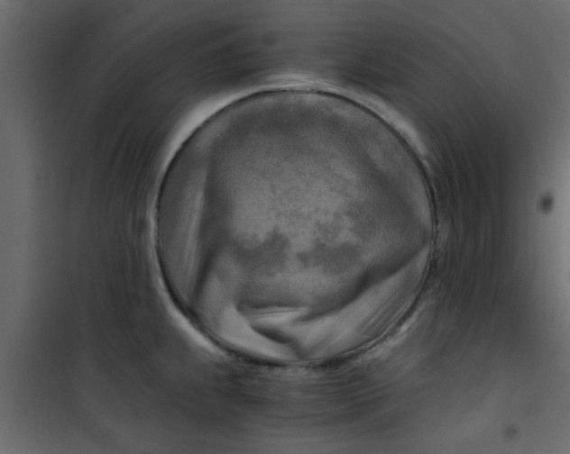 X0000101121239200807171952