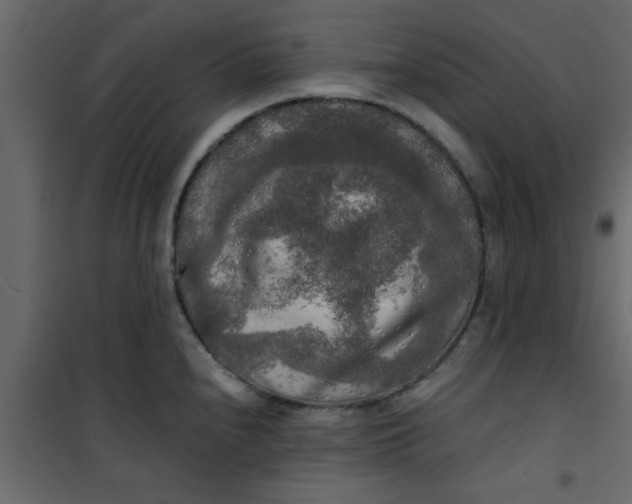 X0000101121240200807171952