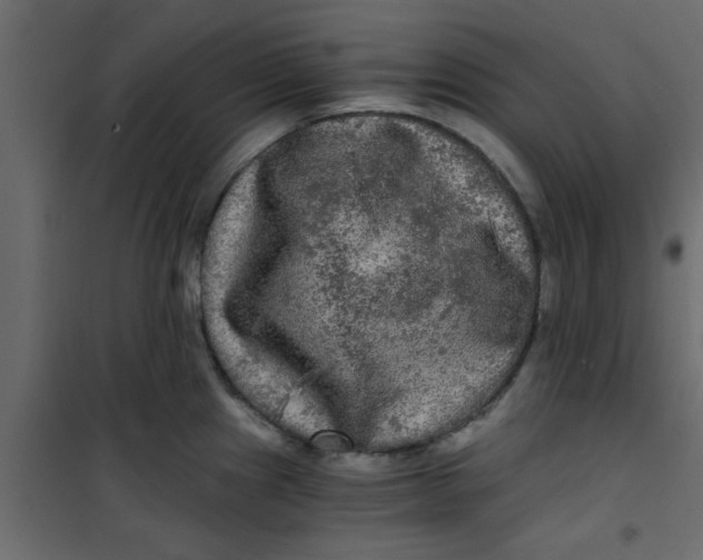 X0000101121241200807171952