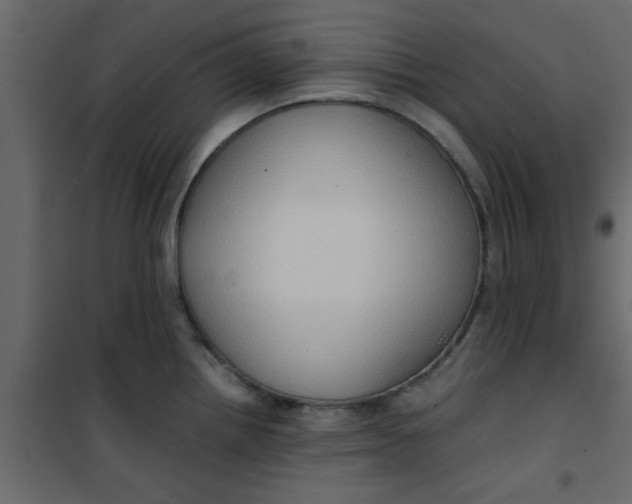 X0000101121242200807171952