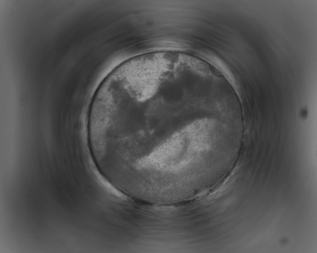 X0000101121243200807171952