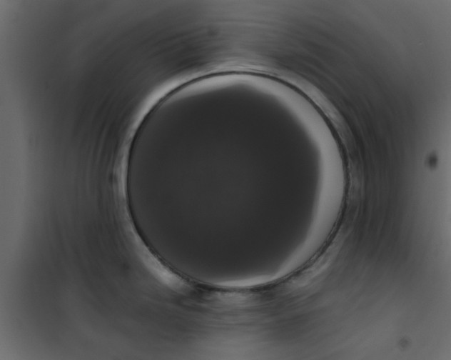 X0000101121246200807171952