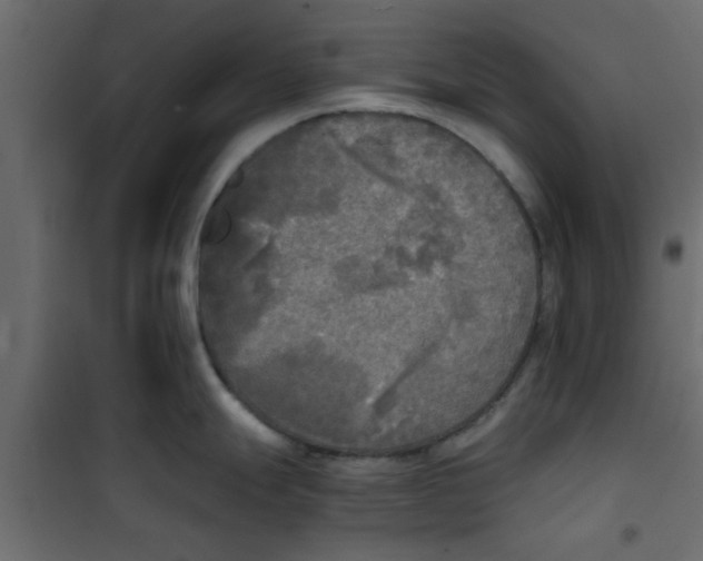 X0000101121247200807171952