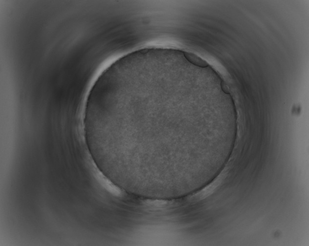 X0000101121248200807171952