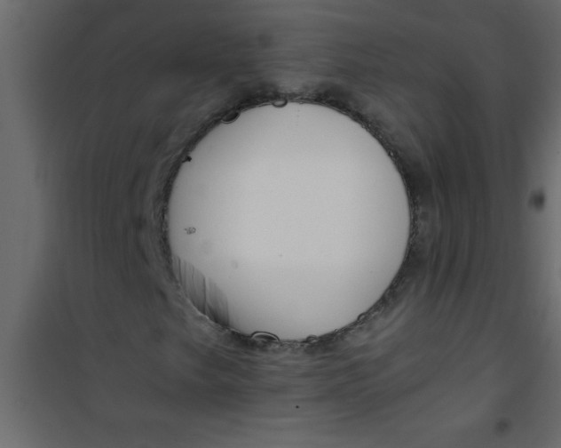 X0000101121249200807171952