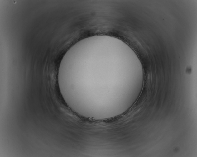 X0000101121250200807171952