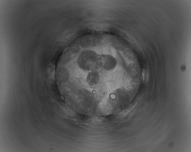 X0000101121251200807171952