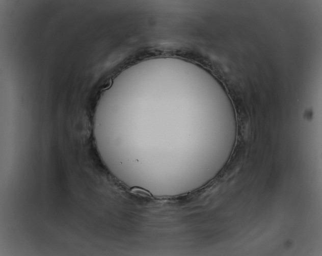 X0000101121253200807171951