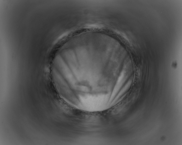 X0000101121254200807171951