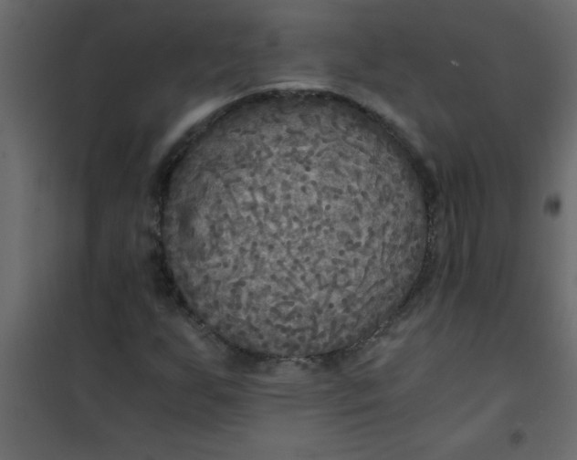 X0000101121255200807171951