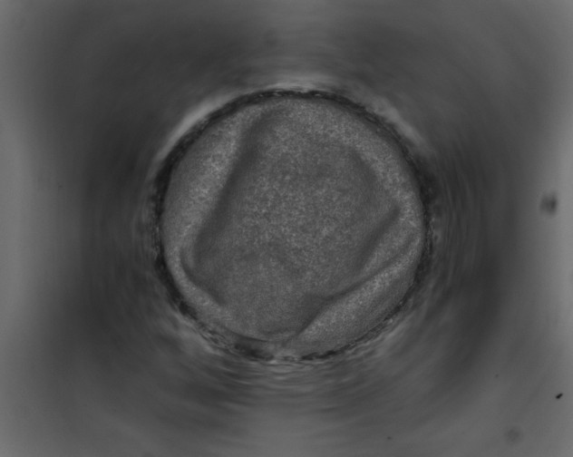 X0000101121256200807171951
