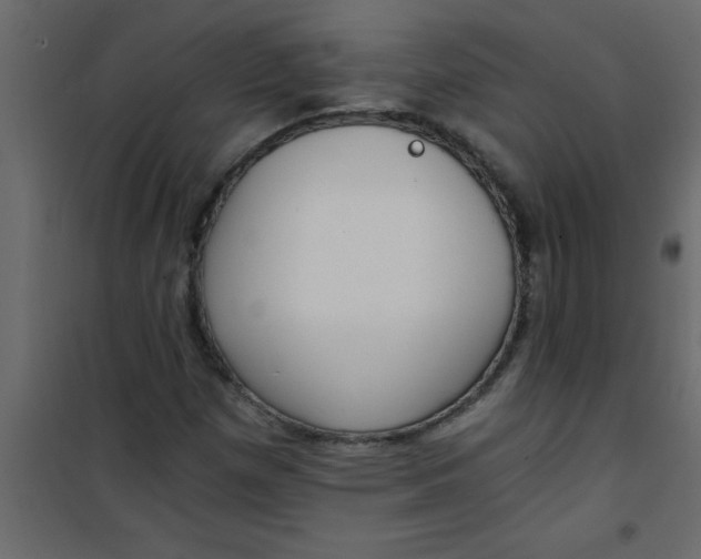 X0000101121257200807171951