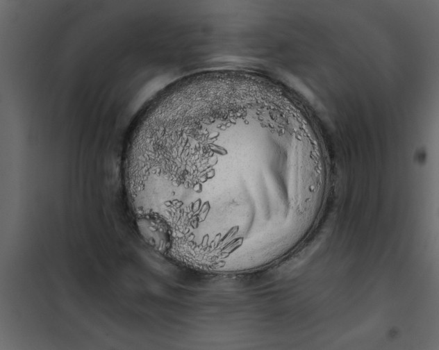 X0000101121259200807171951