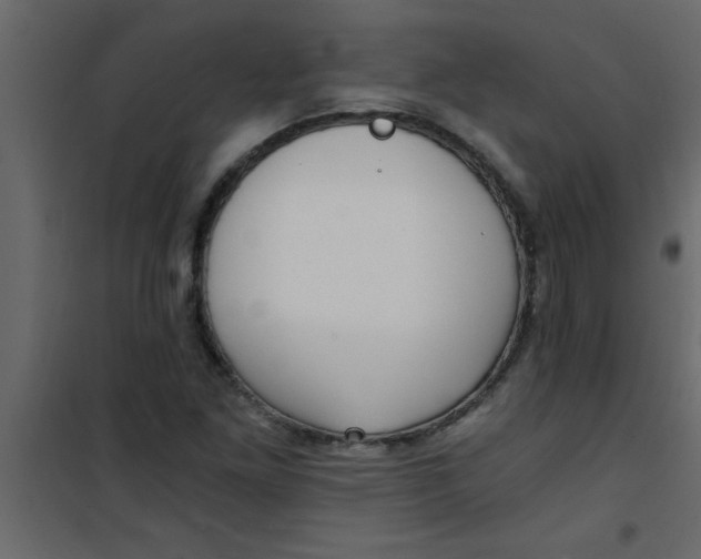 X0000101121261200807171951