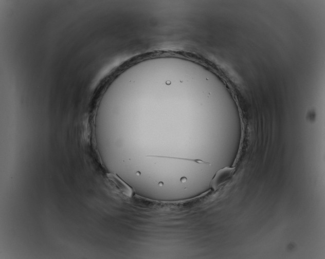 X0000101121262200807171951