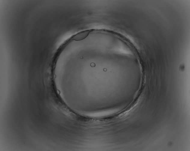 X0000101121263200807171951