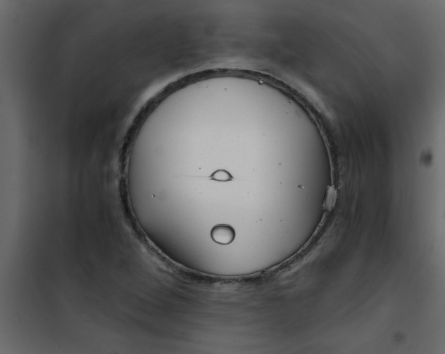 X0000101121264200807171951
