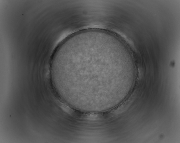 X0000101121266200807171951