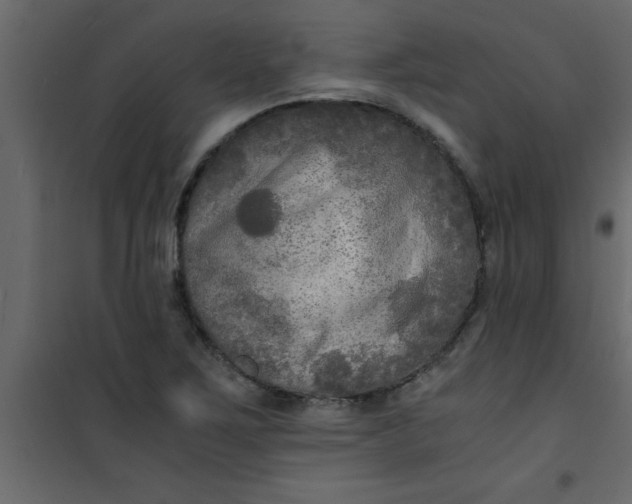 X0000101121267200807171951