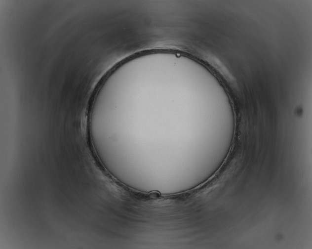 X0000101121268200807171951