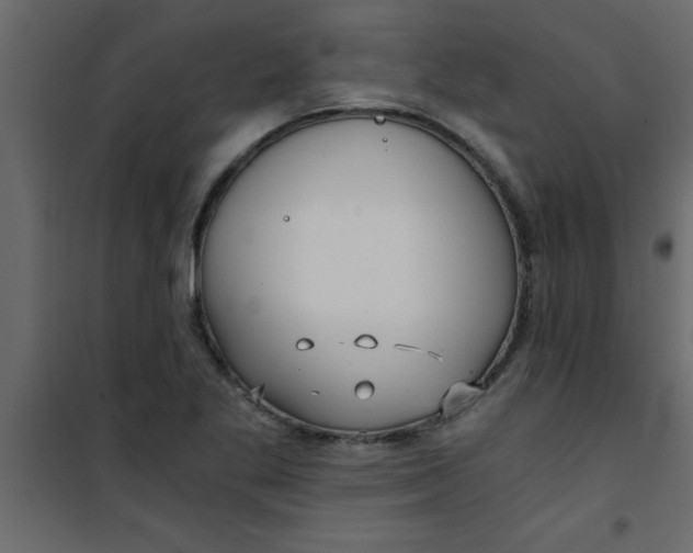 X0000101121269200807171951