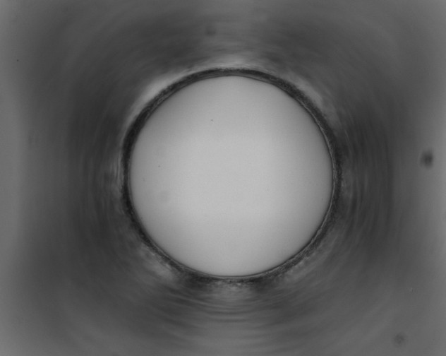 X0000101121270200807171951