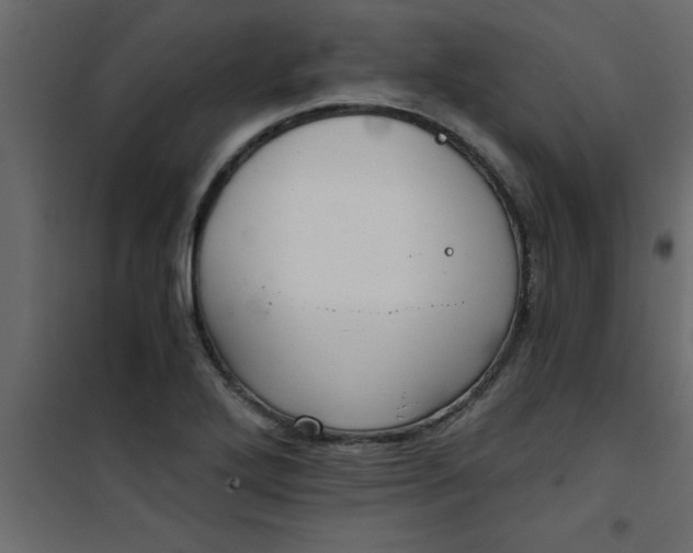 X0000101121272200807171951