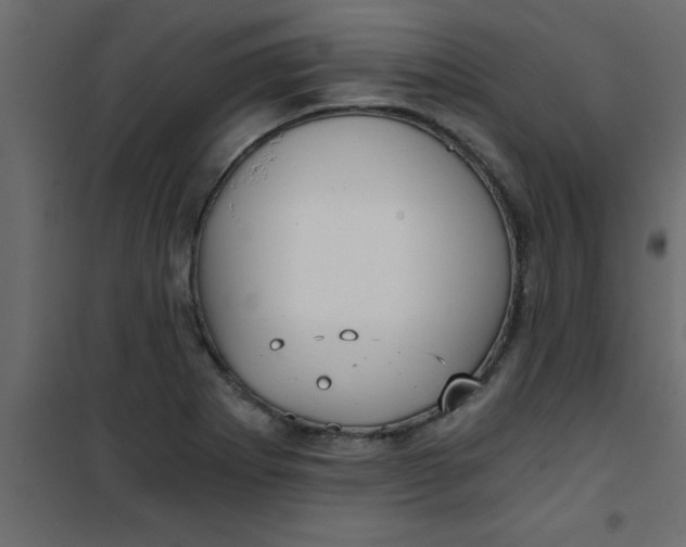 X0000101121273200807171951