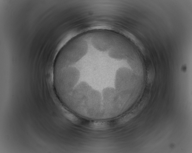 X0000101121274200807171951