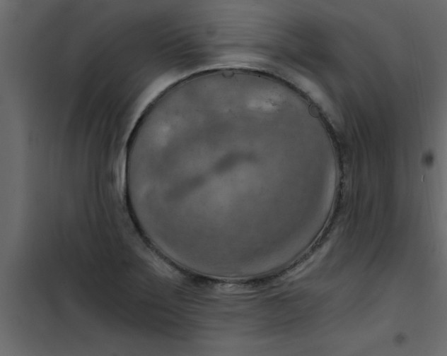 X0000101121275200807171951