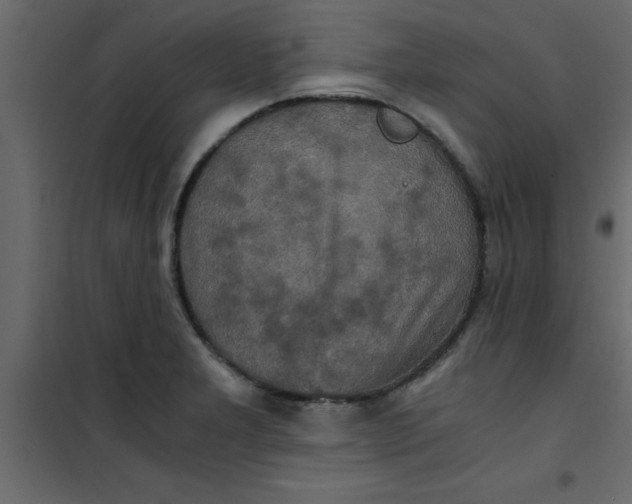 X0000101121277200807171951