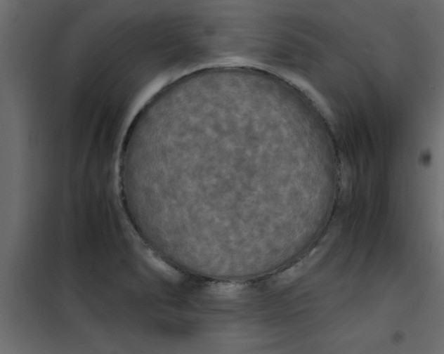 X0000101121278200807171951