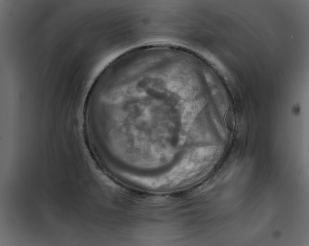 X0000101121279200807171951
