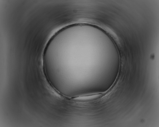 X0000101121280200807171951