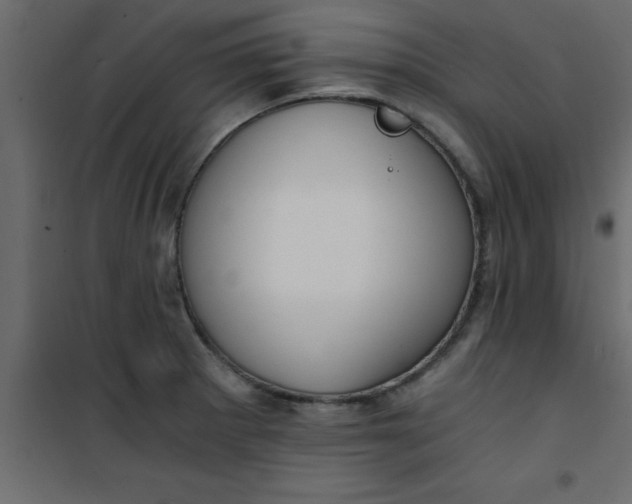 X0000101121281200807171951