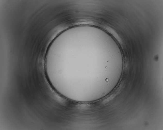 X0000101121282200807171951