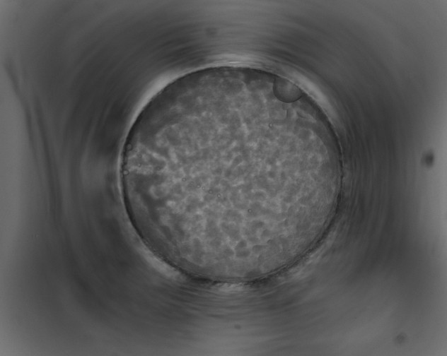 X0000101121283200807171951