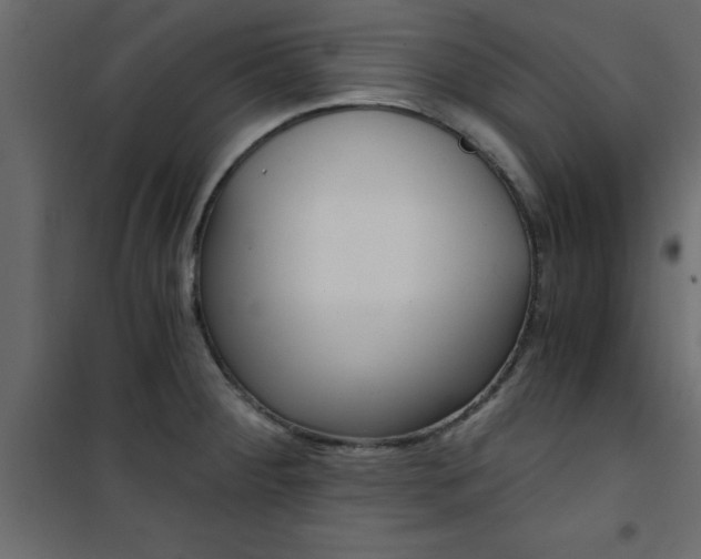 X0000101121284200807171951