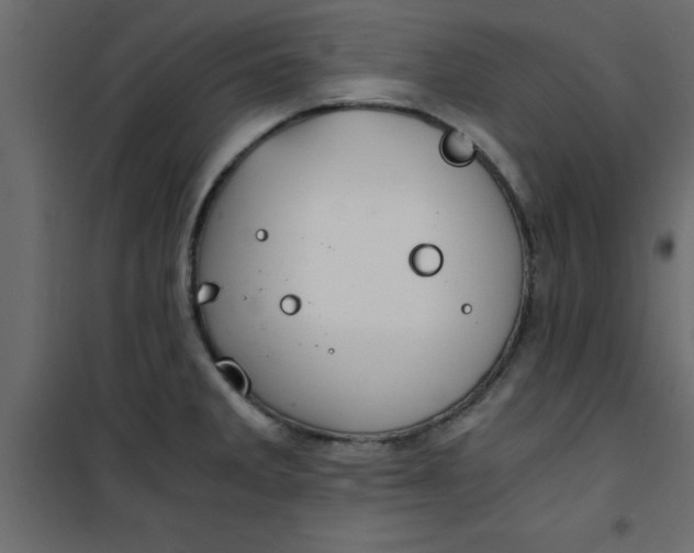 X0000101121285200807171951