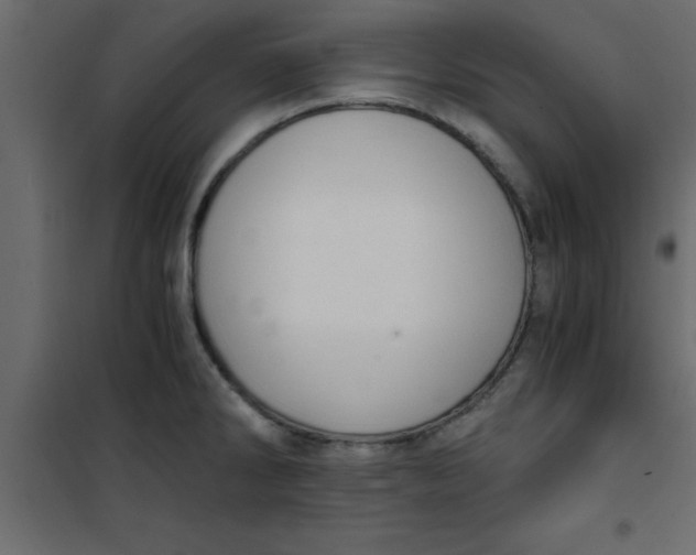 X0000101121286200807171951