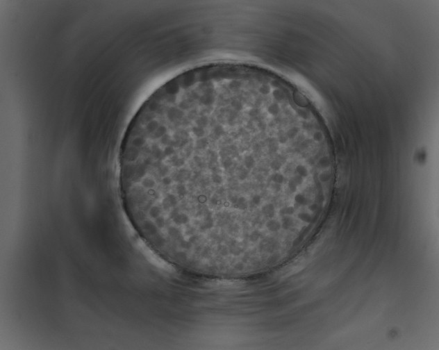 X0000101121287200807171951