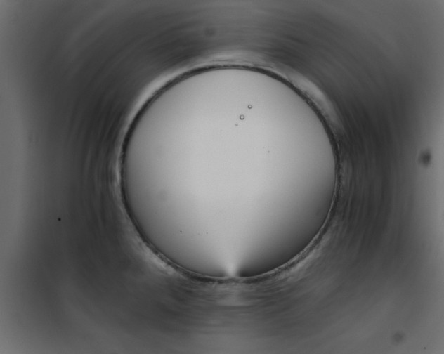 X0000101121288200807171951