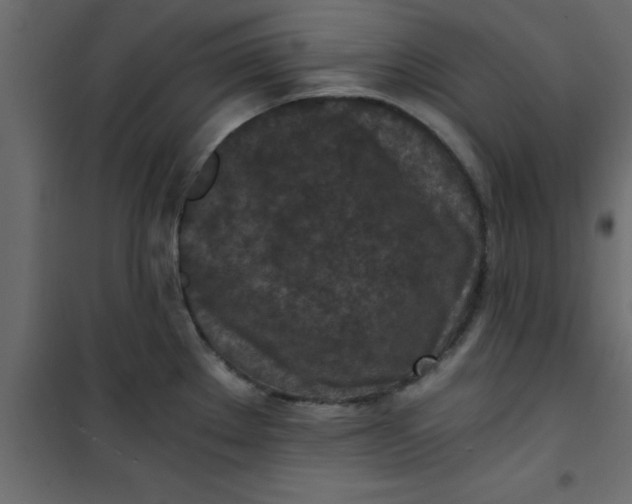 X0000101121289200807171951