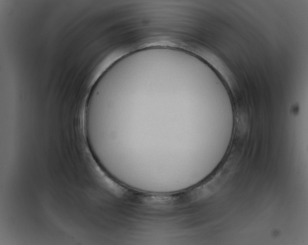 X0000101121290200807171951
