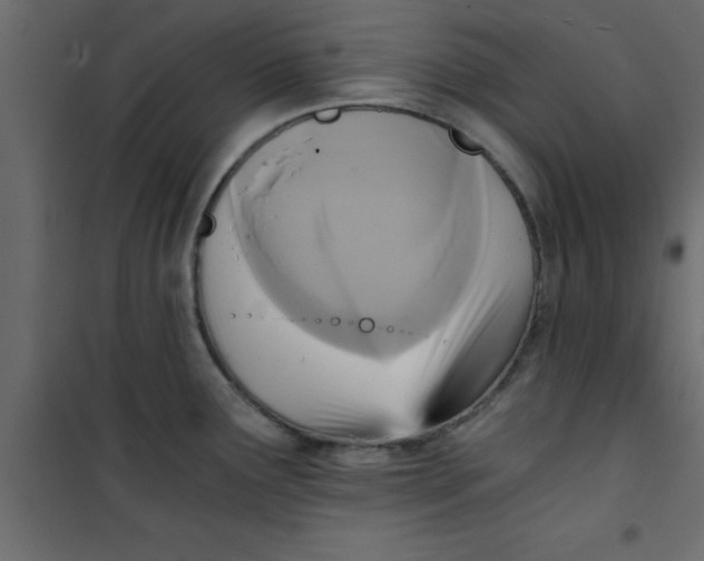 X0000101121291200807171951