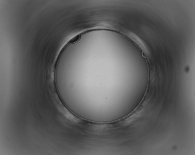 X0000101121292200807171951