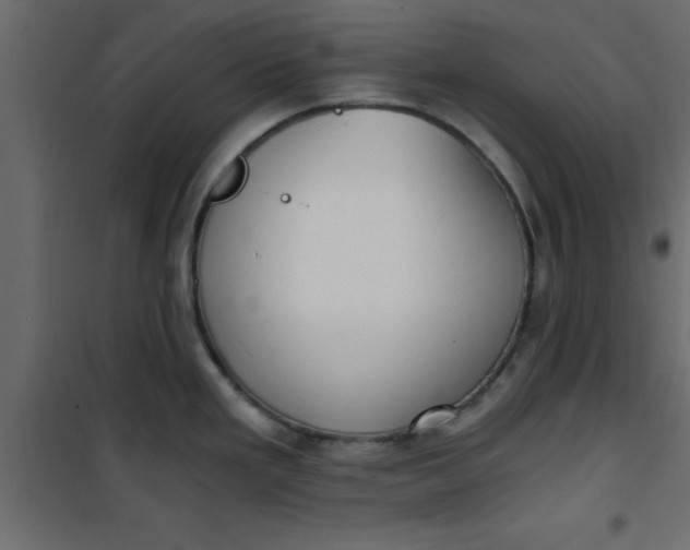 X0000101121293200807171951