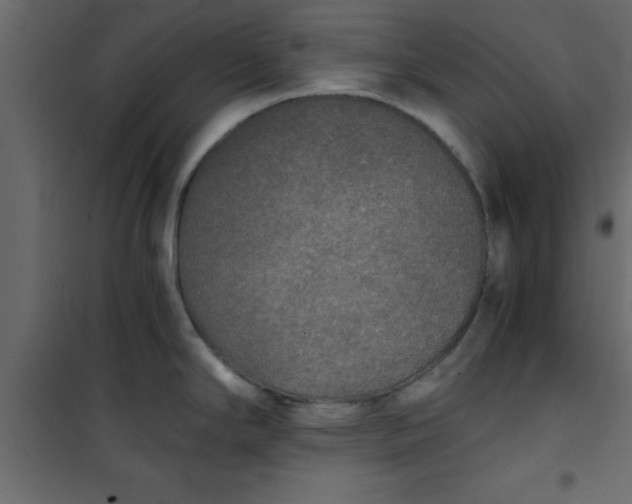 X0000101121294200807171951