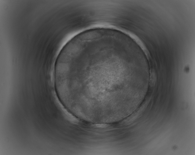 X0000101121295200807171951